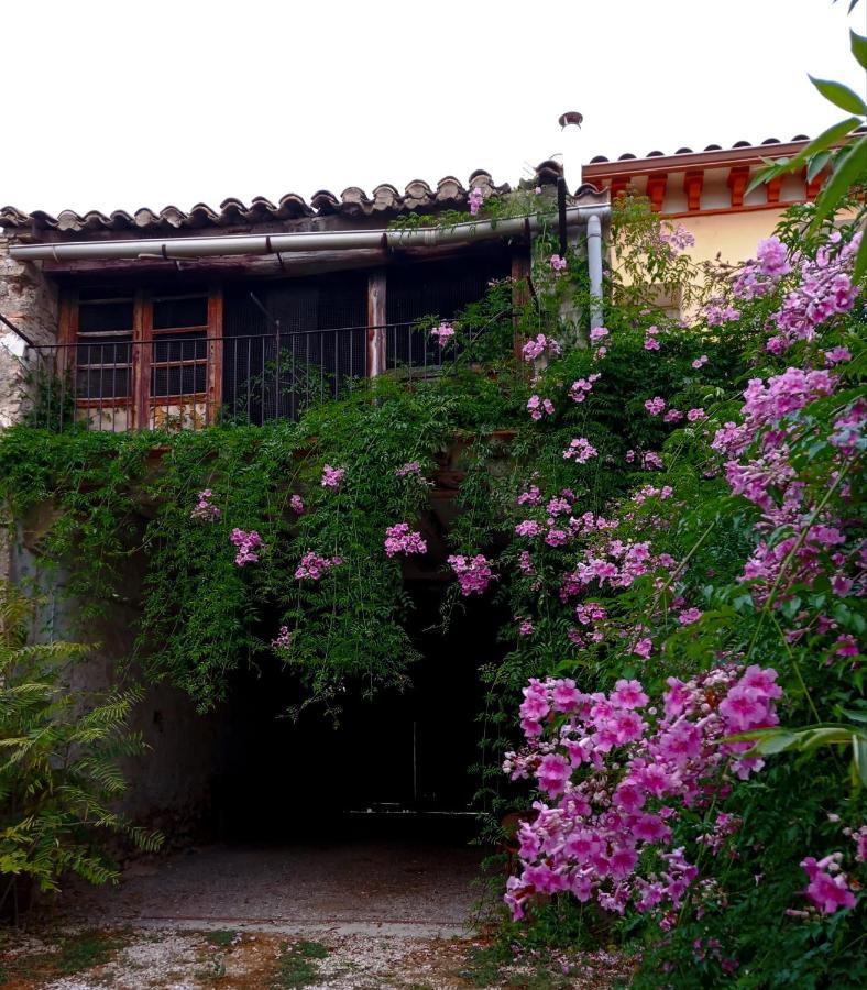 Casa Rural Alicia Villafranca de Ebro Dış mekan fotoğraf