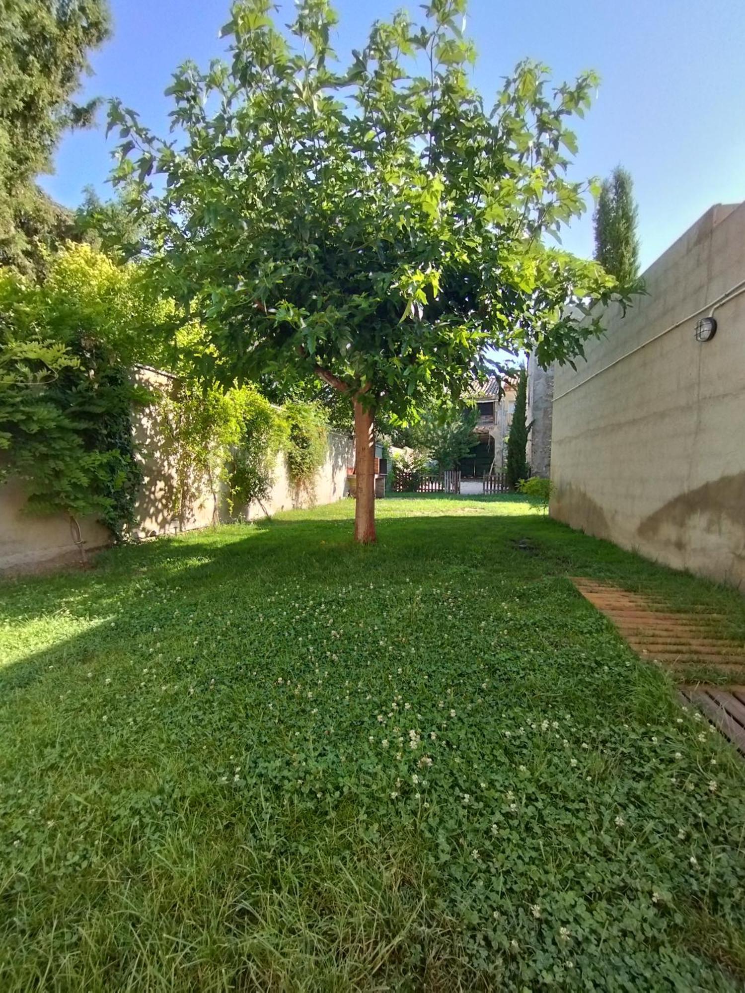Casa Rural Alicia Villafranca de Ebro Dış mekan fotoğraf