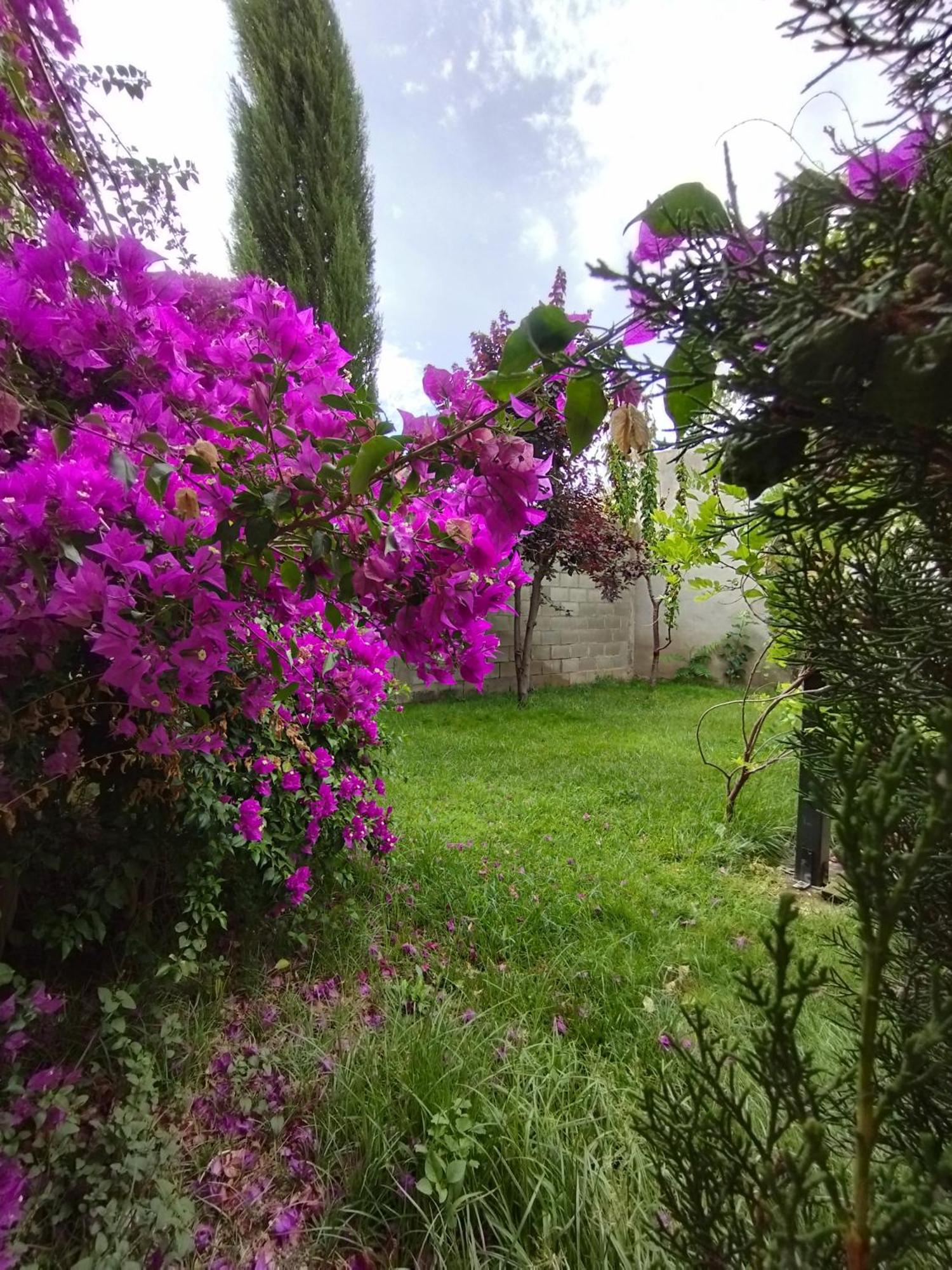 Casa Rural Alicia Villafranca de Ebro Dış mekan fotoğraf